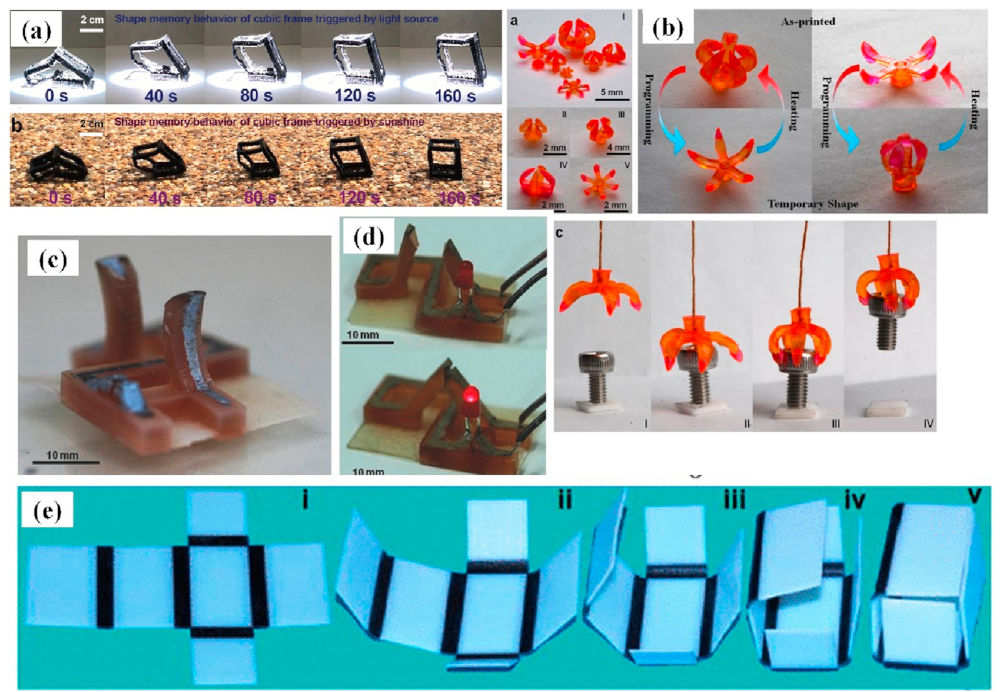 Composition d'images représentants l'évolutionde petits objets (5 à 22mm) imprimés en 4D et soumis à différents stimuli
